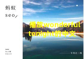 播放wonderful tonight的中文