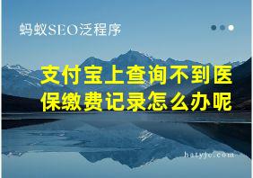 支付宝上查询不到医保缴费记录怎么办呢