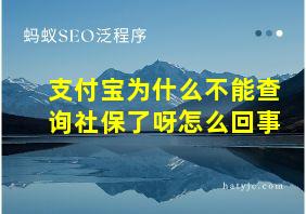 支付宝为什么不能查询社保了呀怎么回事