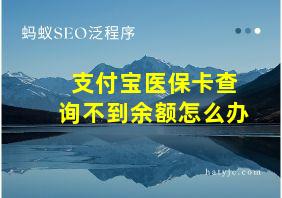 支付宝医保卡查询不到余额怎么办