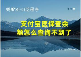 支付宝医保查余额怎么查询不到了