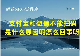 支付宝和微信不能扫码是什么原因呢怎么回事呀