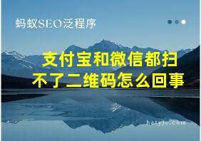 支付宝和微信都扫不了二维码怎么回事