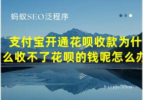 支付宝开通花呗收款为什么收不了花呗的钱呢怎么办