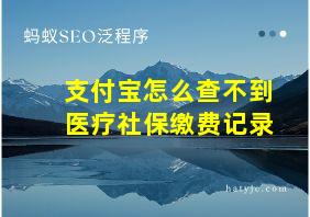 支付宝怎么查不到医疗社保缴费记录