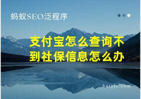 支付宝怎么查询不到社保信息怎么办