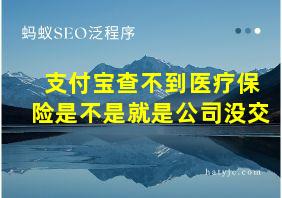 支付宝查不到医疗保险是不是就是公司没交