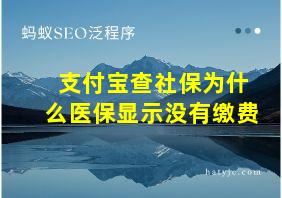 支付宝查社保为什么医保显示没有缴费