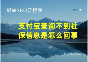 支付宝查询不到社保信息是怎么回事