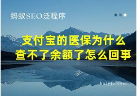 支付宝的医保为什么查不了余额了怎么回事