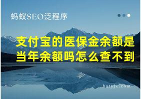 支付宝的医保金余额是当年余额吗怎么查不到