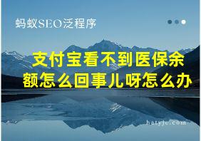 支付宝看不到医保余额怎么回事儿呀怎么办