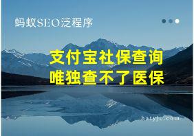 支付宝社保查询唯独查不了医保