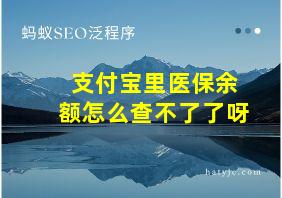 支付宝里医保余额怎么查不了了呀