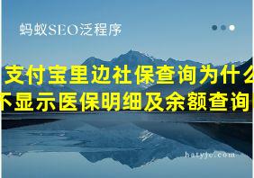 支付宝里边社保查询为什么不显示医保明细及余额查询呢