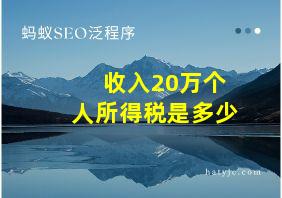 收入20万个人所得税是多少