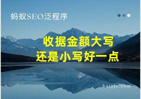 收据金额大写还是小写好一点