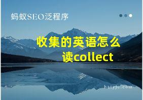 收集的英语怎么读collect