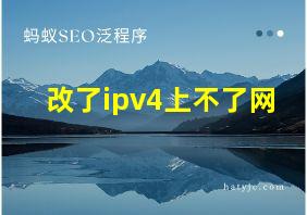 改了ipv4上不了网