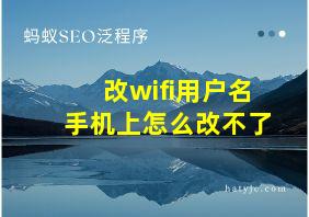 改wifi用户名手机上怎么改不了