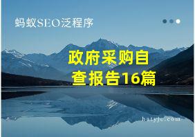 政府采购自查报告16篇