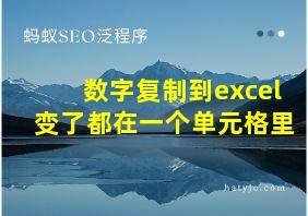 数字复制到excel变了都在一个单元格里