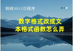 数字格式改成文本格式函数怎么弄