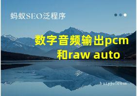 数字音频输出pcm和raw auto