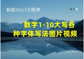 数字1-10大写各种字体写法图片视频