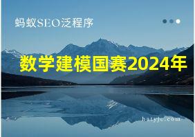 数学建模国赛2024年