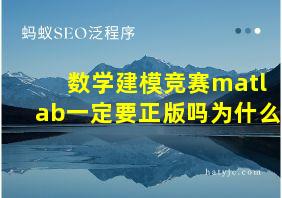 数学建模竞赛matlab一定要正版吗为什么