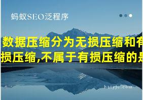 数据压缩分为无损压缩和有损压缩,不属于有损压缩的是