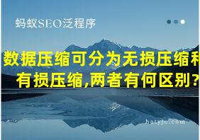 数据压缩可分为无损压缩和有损压缩,两者有何区别?