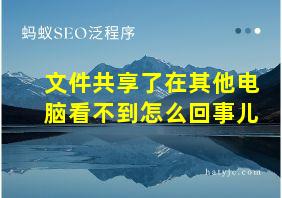 文件共享了在其他电脑看不到怎么回事儿