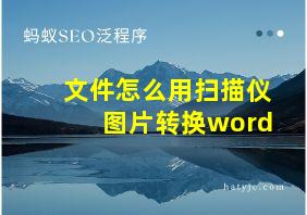 文件怎么用扫描仪图片转换word