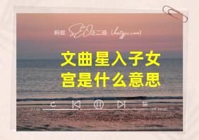 文曲星入子女宫是什么意思