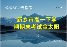 新乡市高一下学期期末考试金太阳