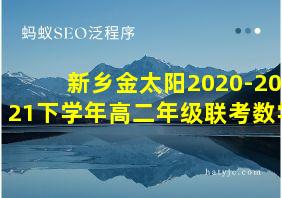 新乡金太阳2020-2021下学年高二年级联考数学