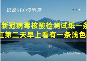 新冠病毒核酸检测试纸一条杠第二天早上看有一条浅色杠