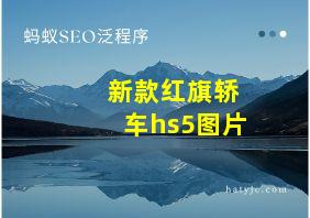 新款红旗轿车hs5图片