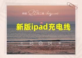 新版ipad充电线