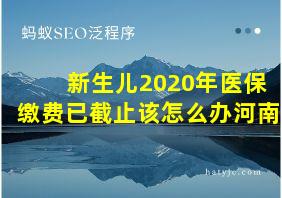 新生儿2020年医保缴费已截止该怎么办河南