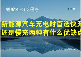 新能源汽车充电时首选快充还是慢充两种有什么优缺点