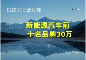 新能源汽车前十名品牌30万