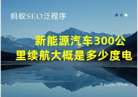 新能源汽车300公里续航大概是多少度电