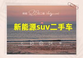 新能源suv二手车