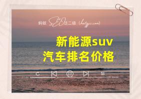 新能源suv汽车排名价格