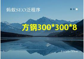 方钢300*300*8