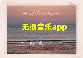 无损音乐app