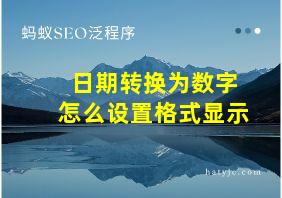 日期转换为数字怎么设置格式显示